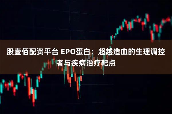 股壹佰配资平台 EPO蛋白：超越造血的生理调控者与疾病治疗靶点