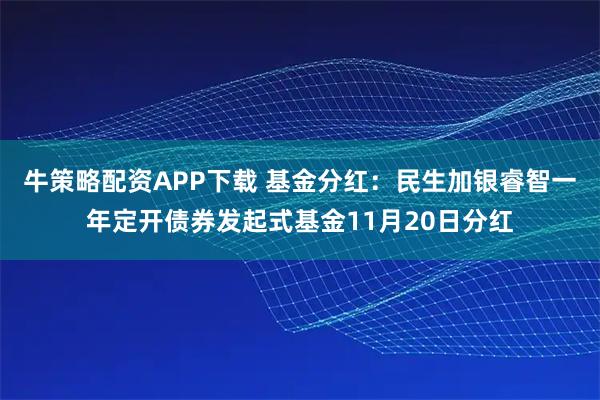 牛策略配资APP下载 基金分红：民生加银睿智一年定开债券发起式基金11月20日分红