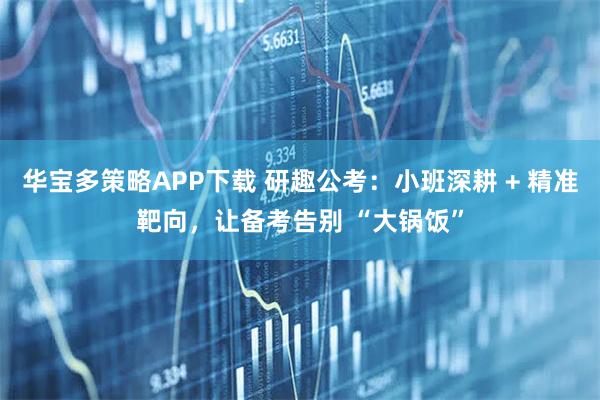 华宝多策略APP下载 研趣公考：小班深耕 + 精准靶向，让备考告别 “大锅饭”