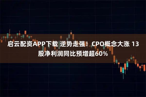 启云配资APP下载 逆势走强！CPO概念大涨 13股净利润同比预增超60%