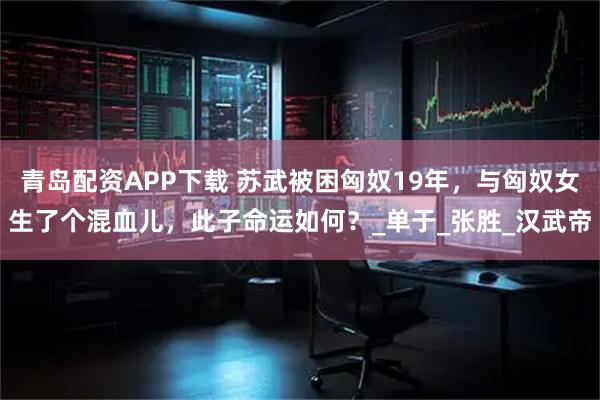 青岛配资APP下载 苏武被困匈奴19年，与匈奴女生了个混血儿，此子命运如何？_单于_张胜_汉武帝