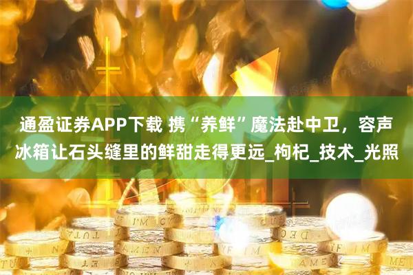 通盈证券APP下载 携“养鲜”魔法赴中卫，容声冰箱让石头缝里的鲜甜走得更远_枸杞_技术_光照