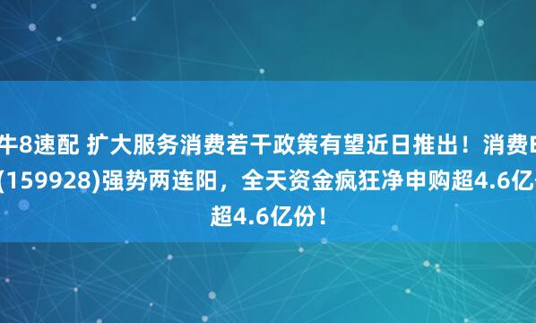 牛8速配 扩大服务消费若干政策有望近日推出！消费ETF(159928)强势两连阳，全天资金疯狂净申购超4.6亿份！