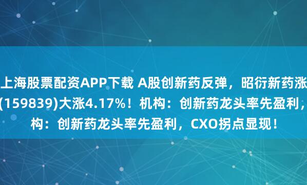 上海股票配资APP下载 A股创新药反弹，昭衍新药涨停！生物药ETF(159839)大涨4.17%！机构：创新药龙头率先盈利，CXO拐点显现！