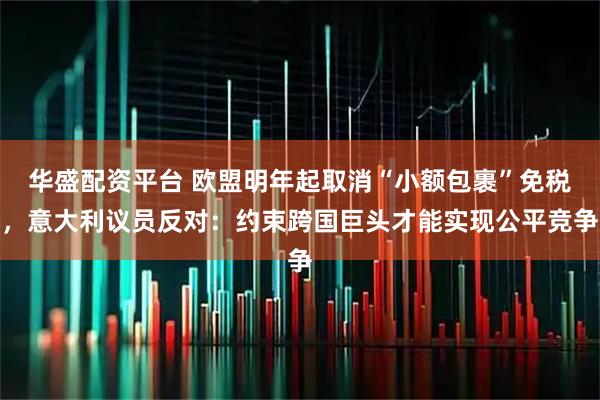 华盛配资平台 欧盟明年起取消“小额包裹”免税，意大利议员反对：约束跨国巨头才能实现公平竞争